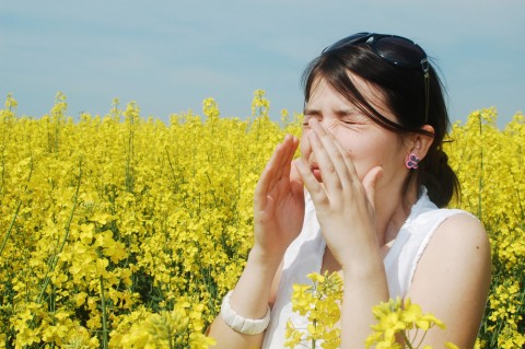 Εποχικές αλλεργίες