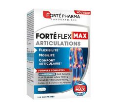 Forte Pharma Forte Flex Max Articulations 120 κάψουλες