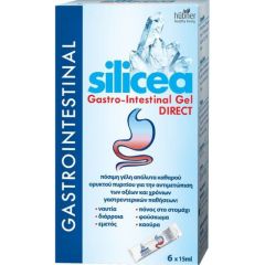 Hubner Silicea Gastro-Intestinal Gel DIRECT 6x15ml