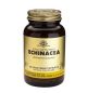 Solgar Echinacea Συμπλήρωμα Διατροφής 100 Vegetable Caps